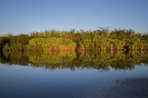 day trip to kakadu from darwin